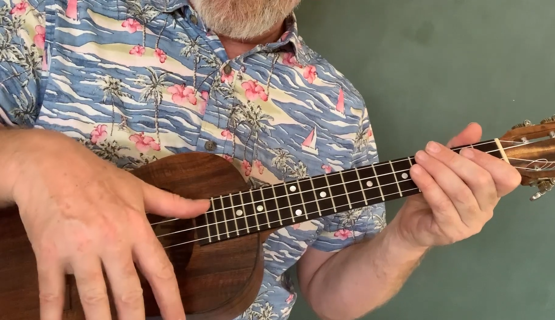 Easy Country Ukulele Songs - MusicProfy