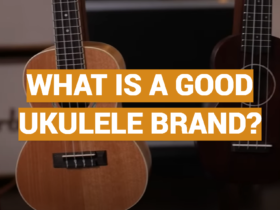What Is a Good Ukulele Brand?