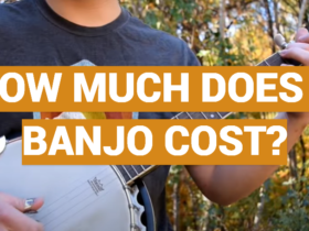 How Much Does a Banjo Cost?