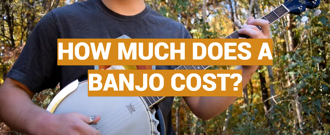 How Much Does a Banjo Cost?